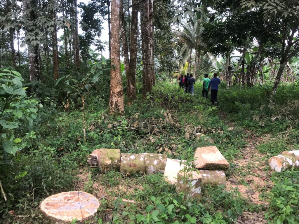 Inspecting the rich agricultural land