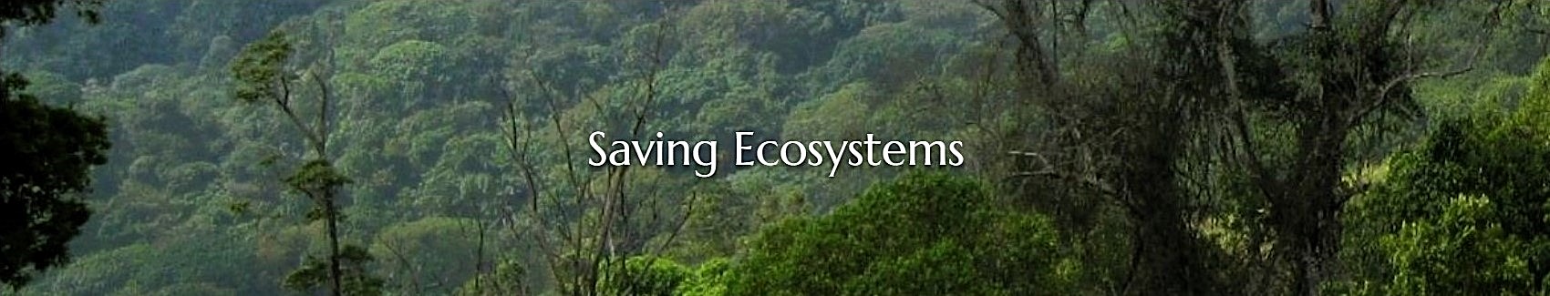 Saving Ecosystems